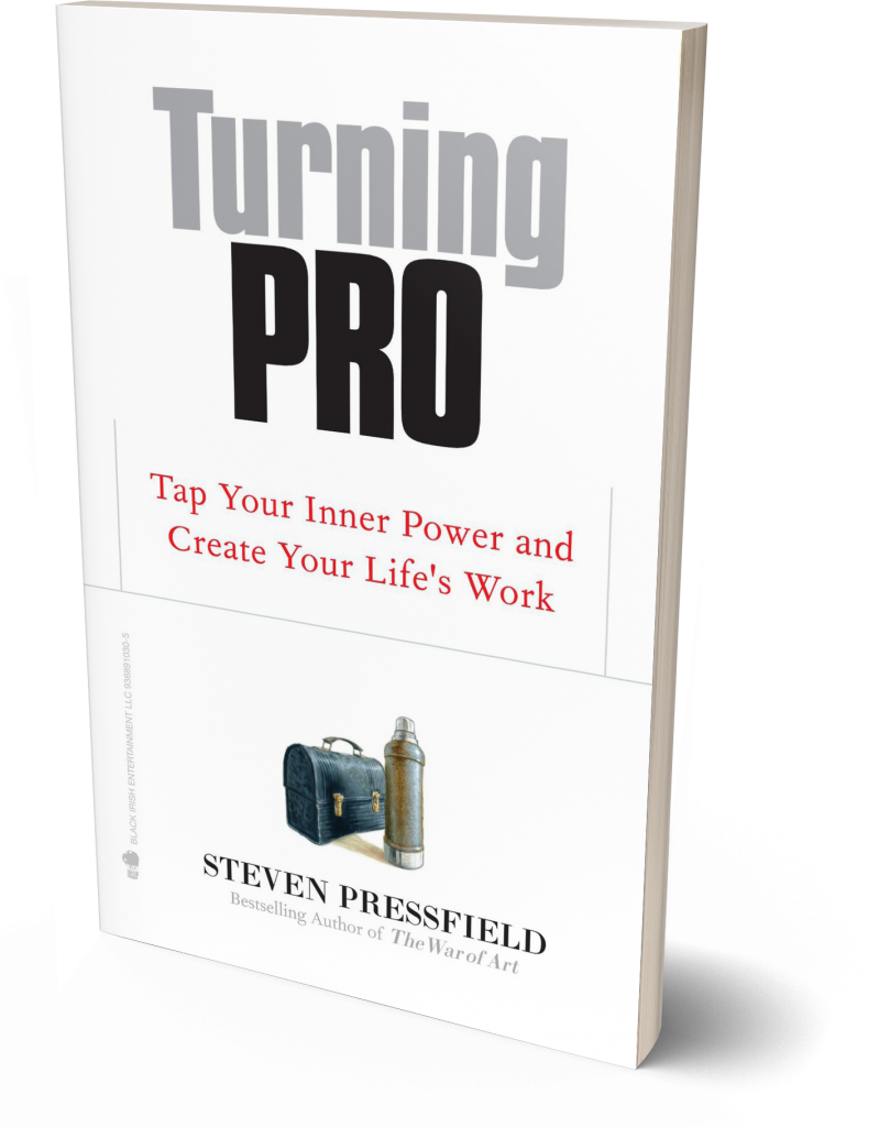 Turning Pro: Tap Your Inner Power and Create Your Life's Work